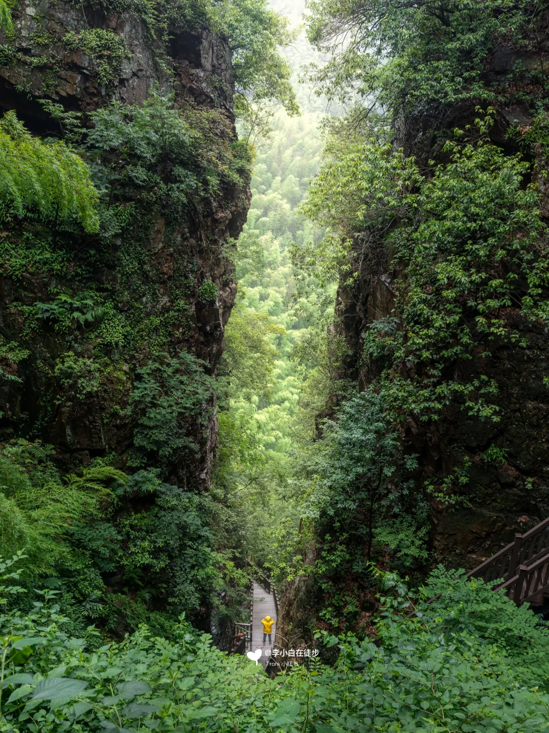 宜兴真的不用避坑！推荐7个小众免费景点