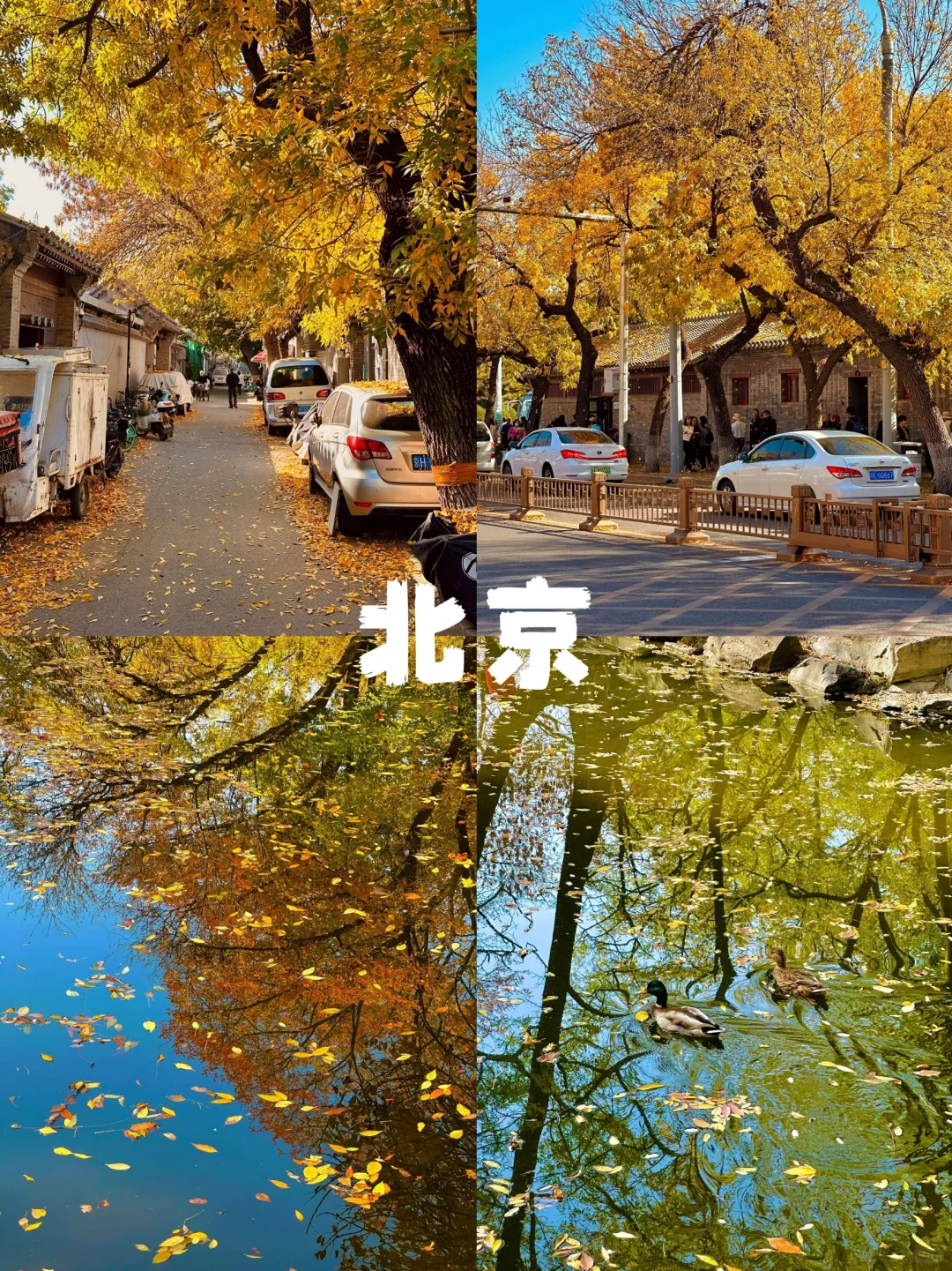 小长假高铁游:5大城市精选推荐🚄