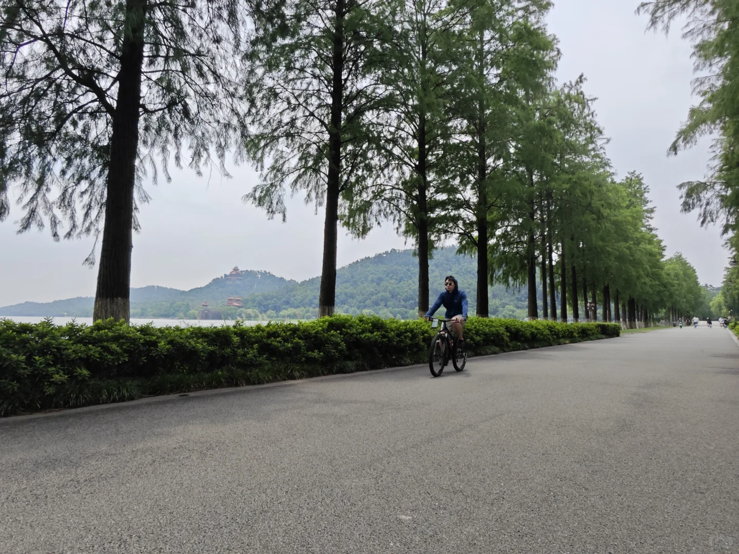 连续三年每年必打卡景点🫡