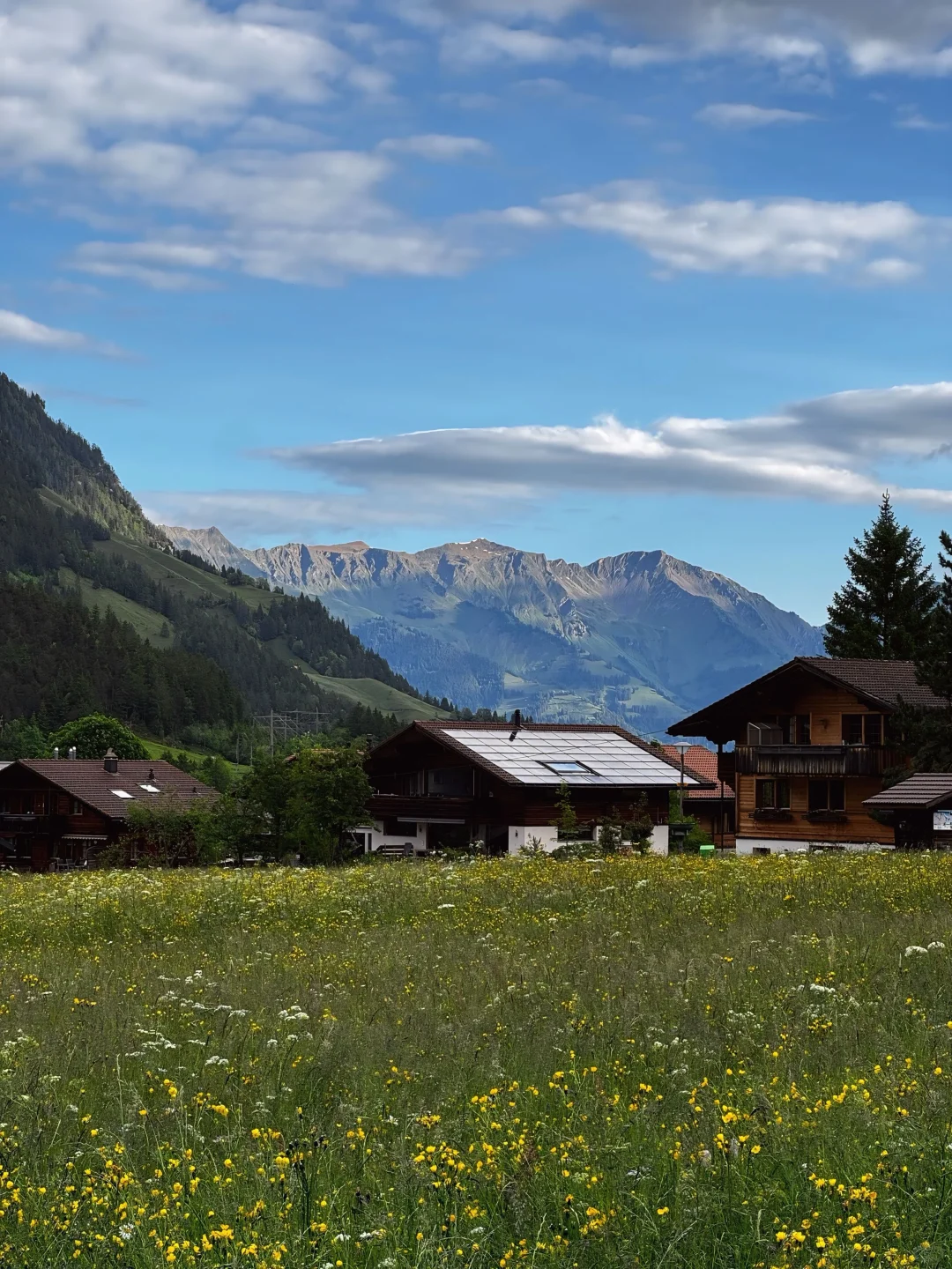 🇨🇭 Oeschinensee 厄希嫩湖