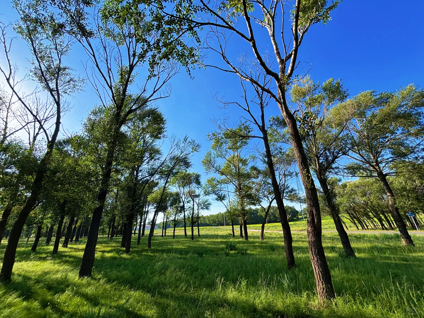 8月14日 在呼和浩特不要再去景区啦