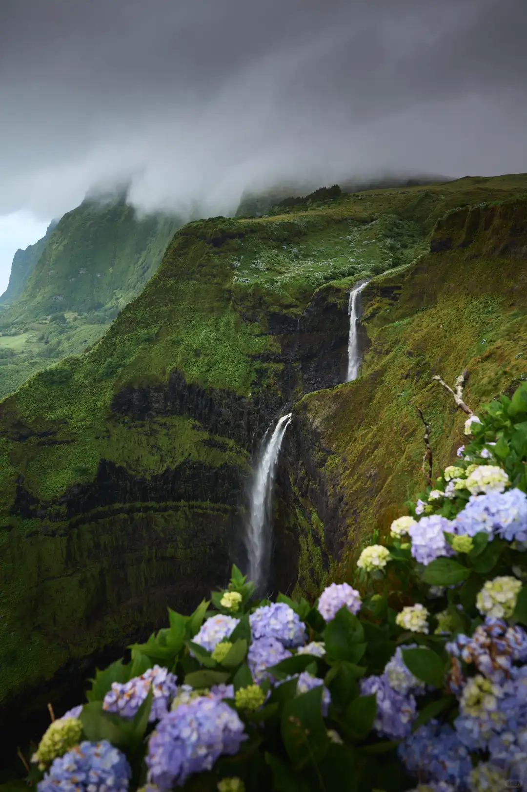 和小螃蟹在亚速尔群岛