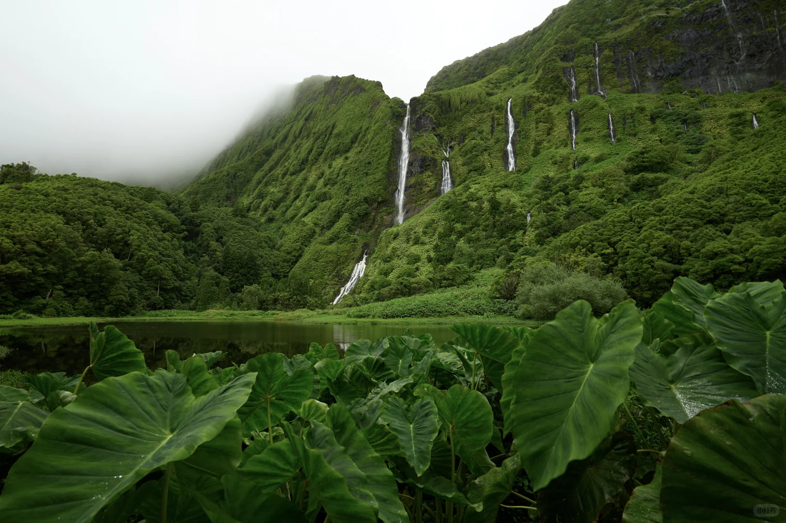 和小螃蟹在亚速尔群岛