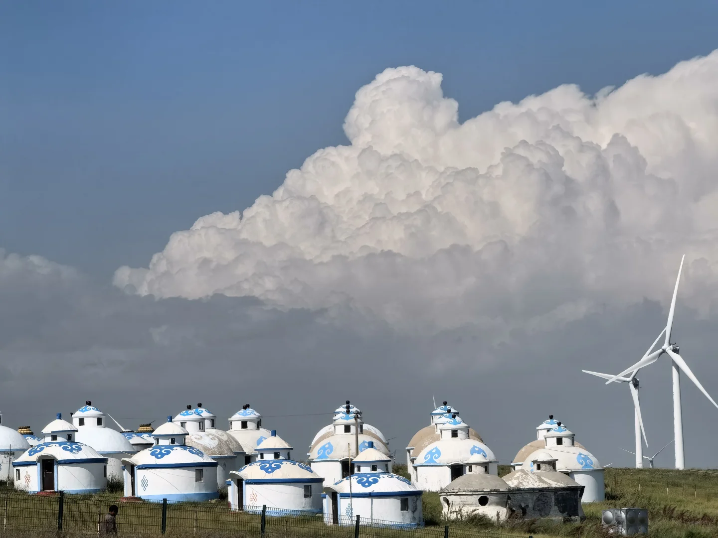 辉腾锡勒草原,牛马的天堂