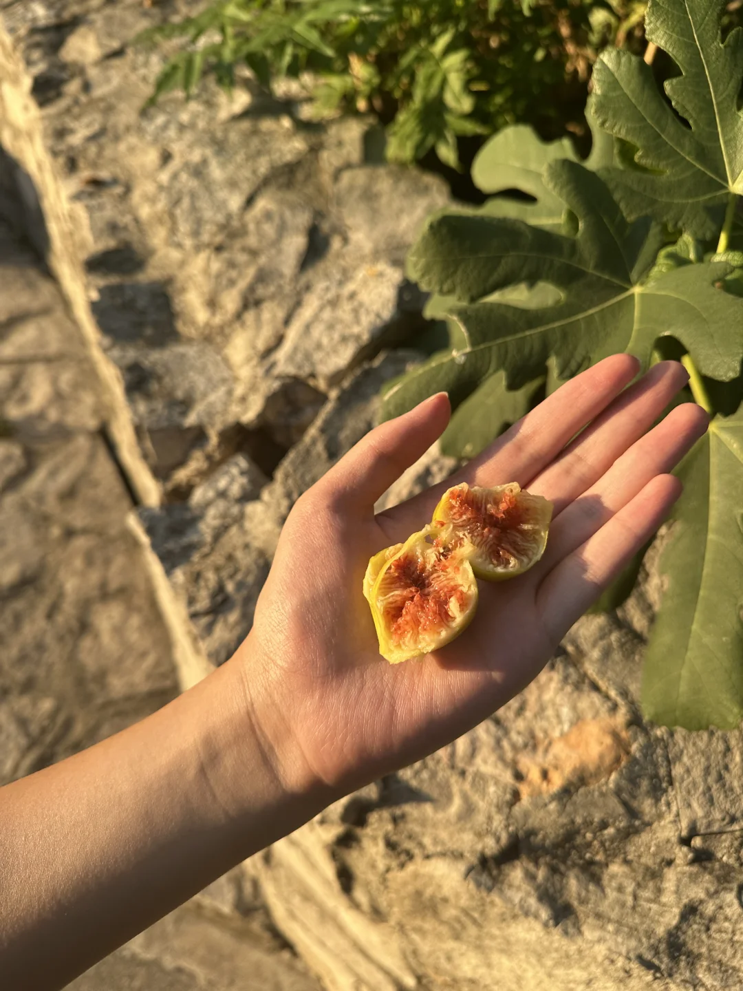 1000多人民币就能抵达的欧洲小众免签国🇧🇦