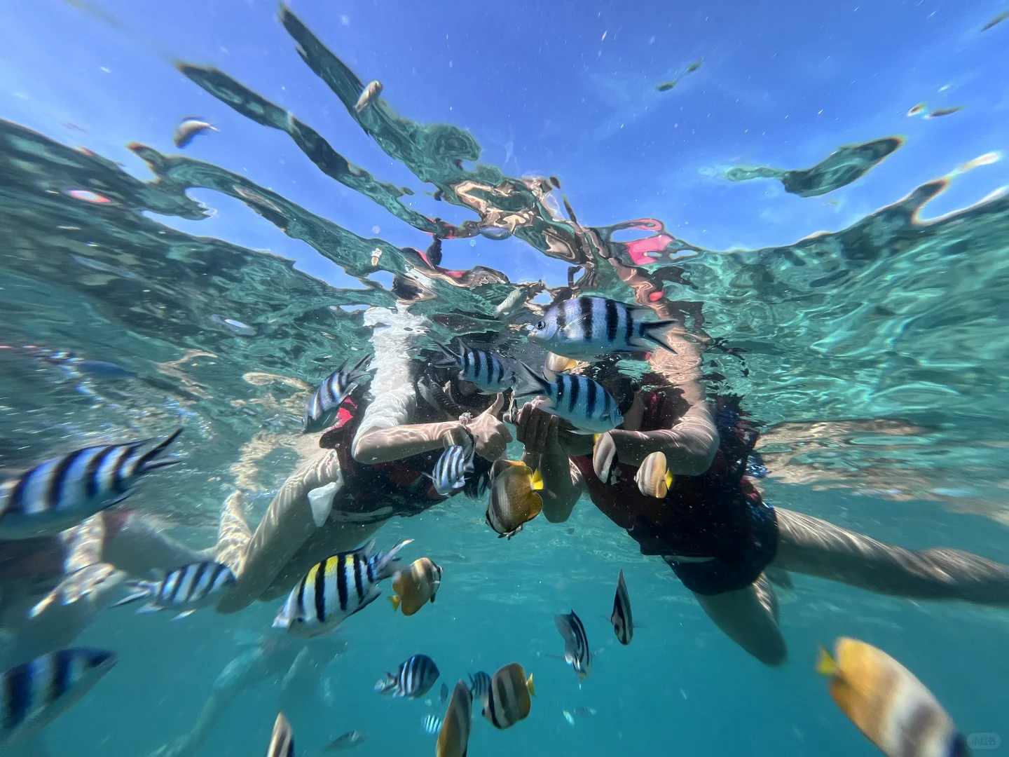 马来5k攻略一周游