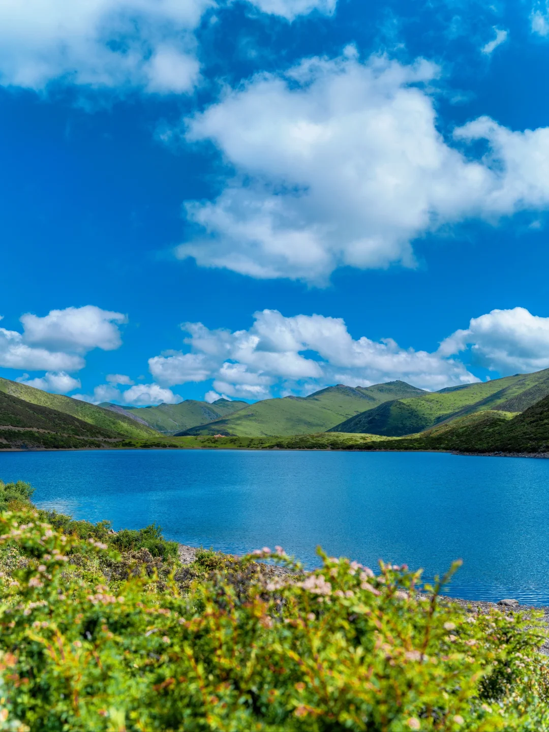 七色海真的是yyds，不去后悔！