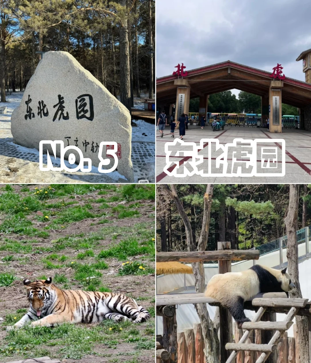 长春🏙️｜九大必打卡圣地🔥