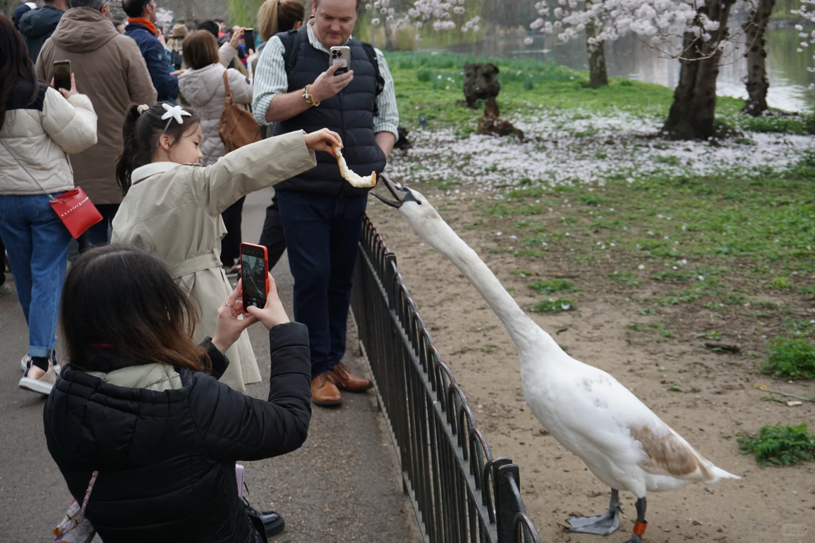 伦敦旅游归来，说说我的感受