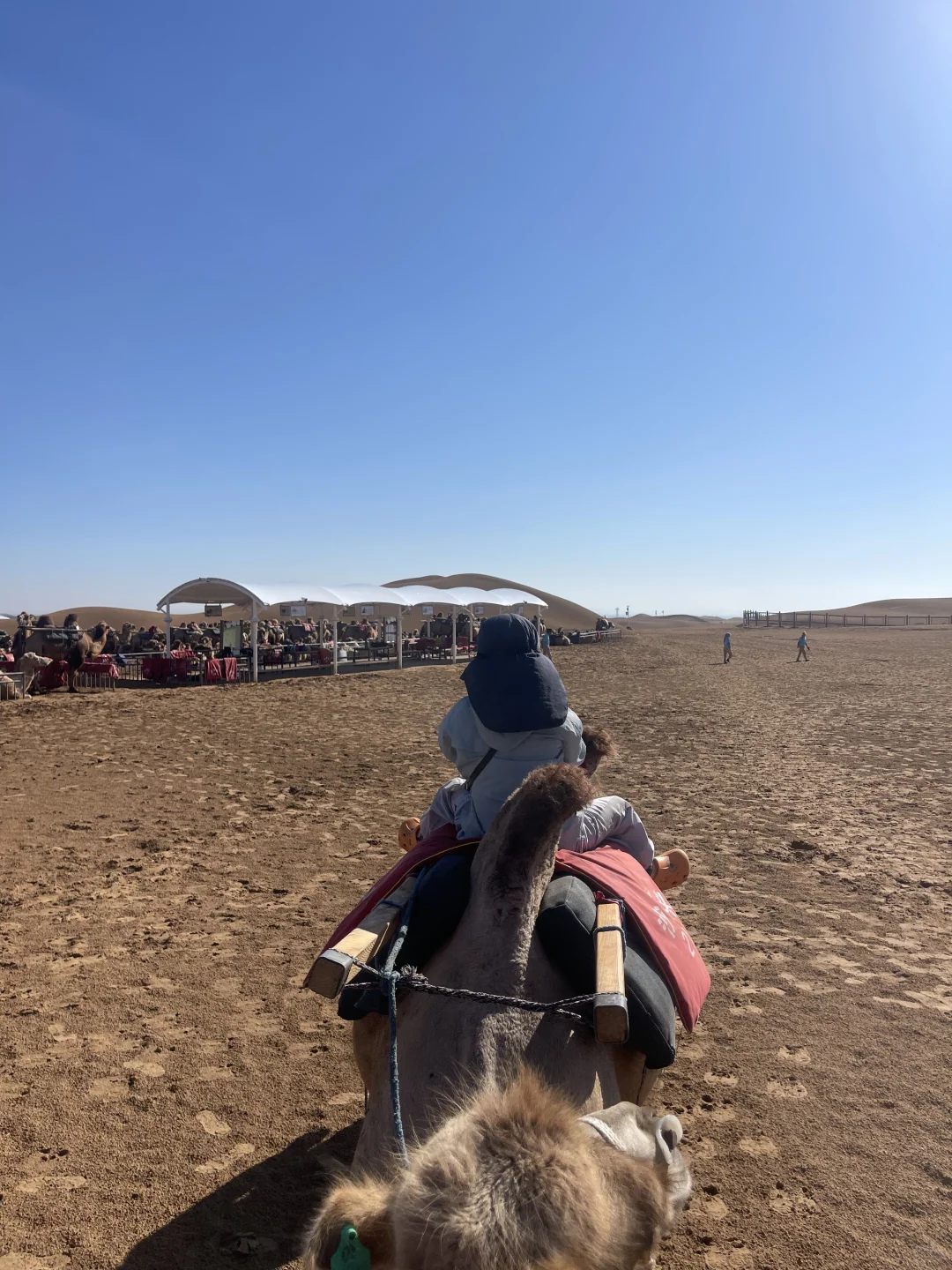 到底谁在避雷沙坡头‼️明明就是儿童友好景区