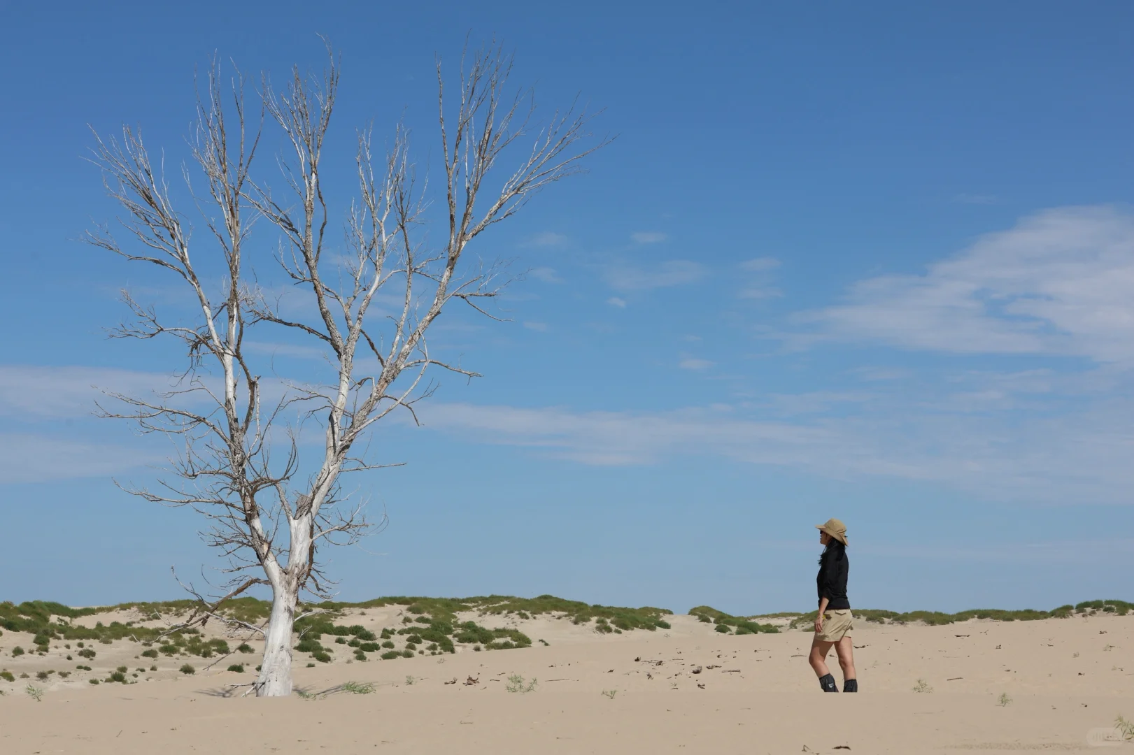赤峰本地人都不知道的小众沙漠|响水荷花池