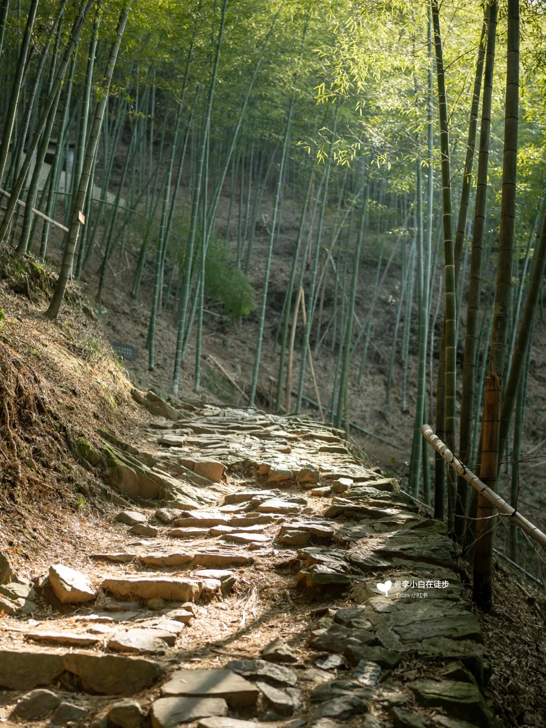 宜兴真的不用避坑！推荐7个小众免费景点