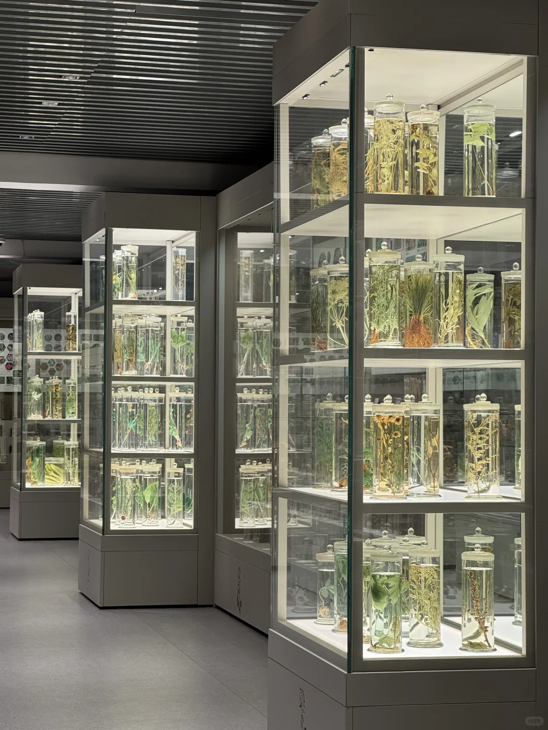 北京。。。果然最牛逼的地方都是免费的！（合集）