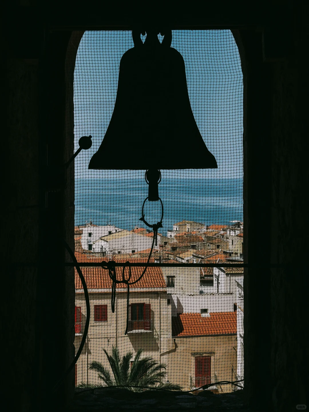 西西里永远夏天🦋