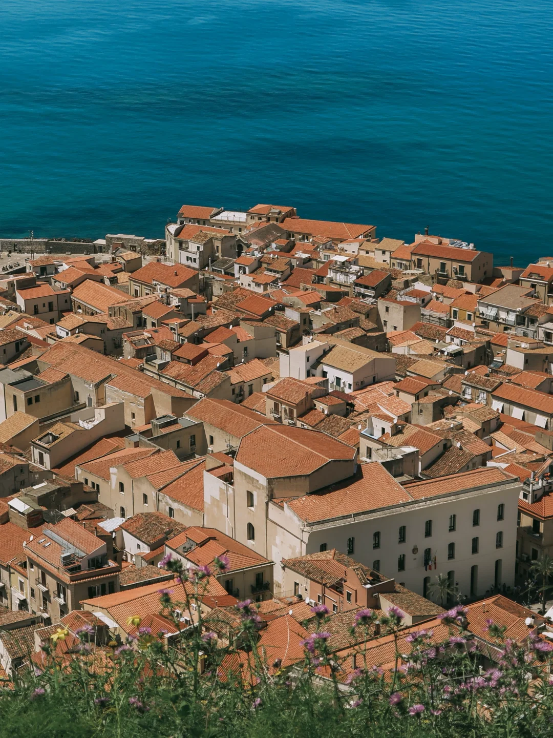 西西里永远夏天🦋