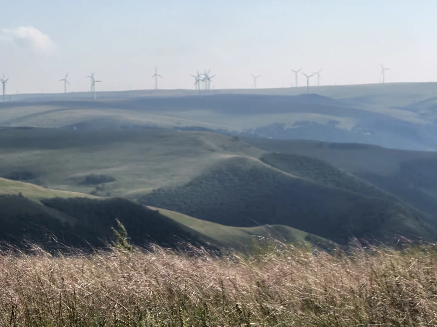 辉腾锡勒草原,牛马的天堂