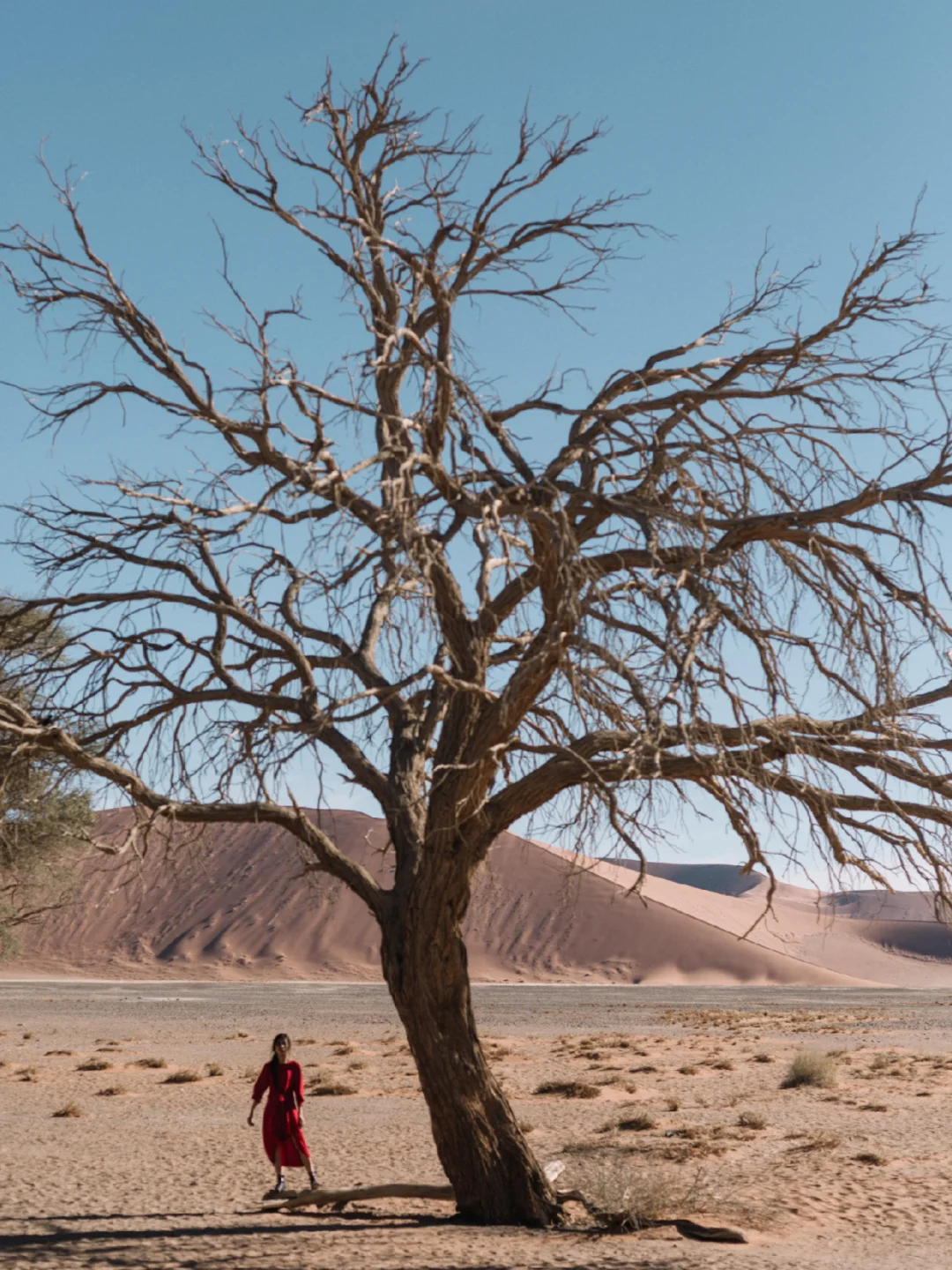 放开之后值得去的9个国家▪️绝对大开眼界