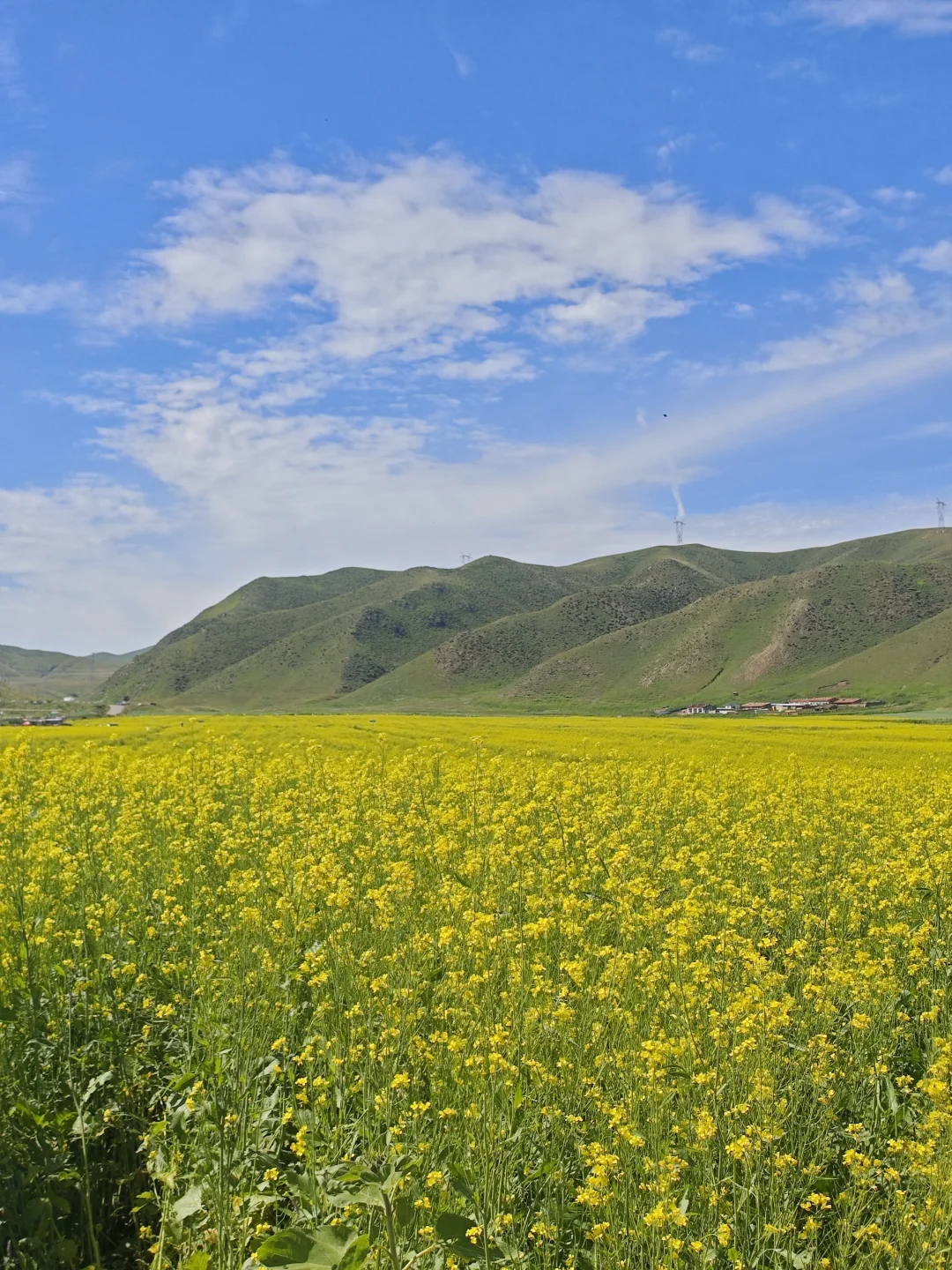 🚗✨自驾天花板！内蒙古红石崖绝美秘境
