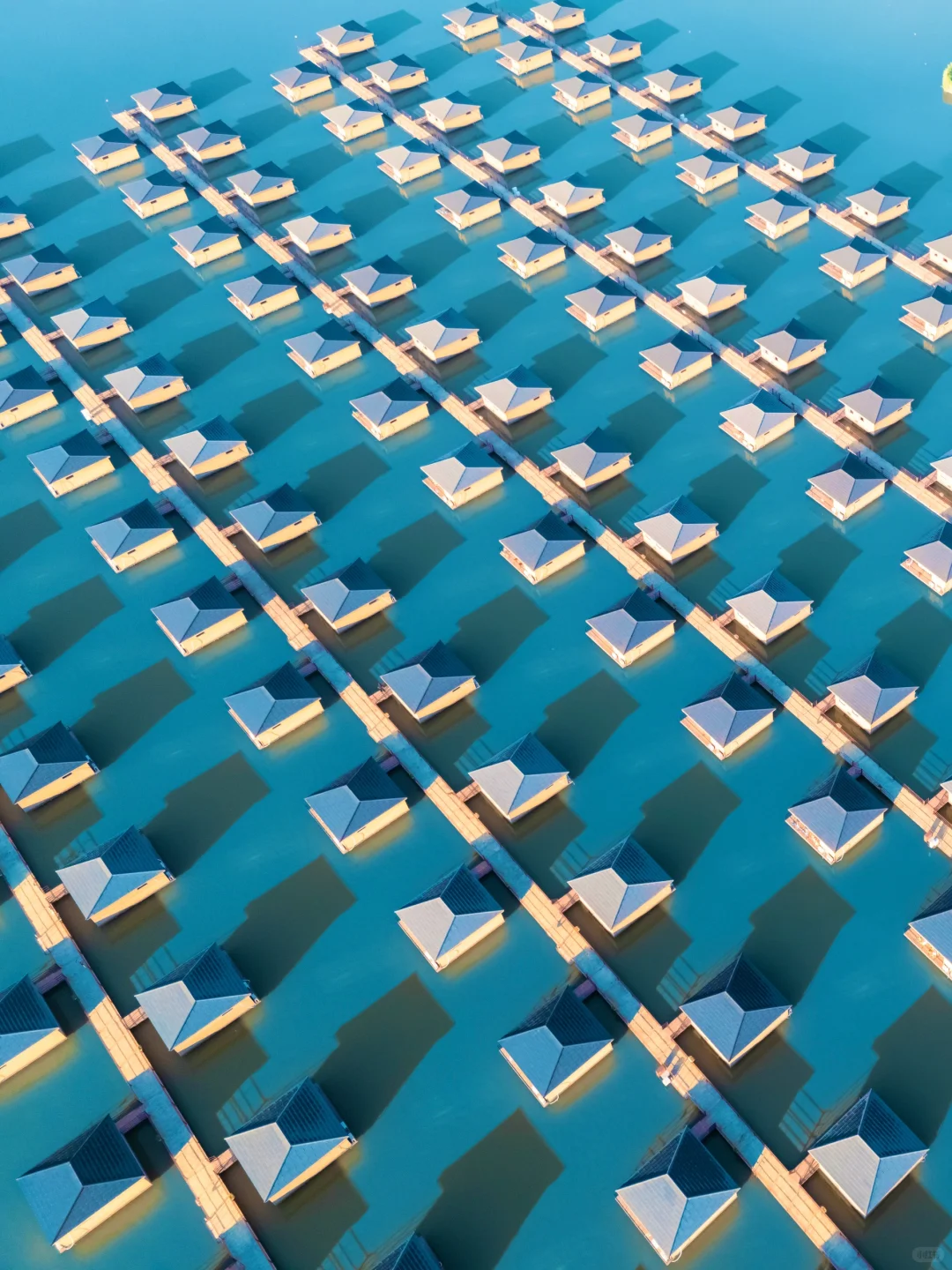 谁懂啊❗第一次来河北就刷新认知❗