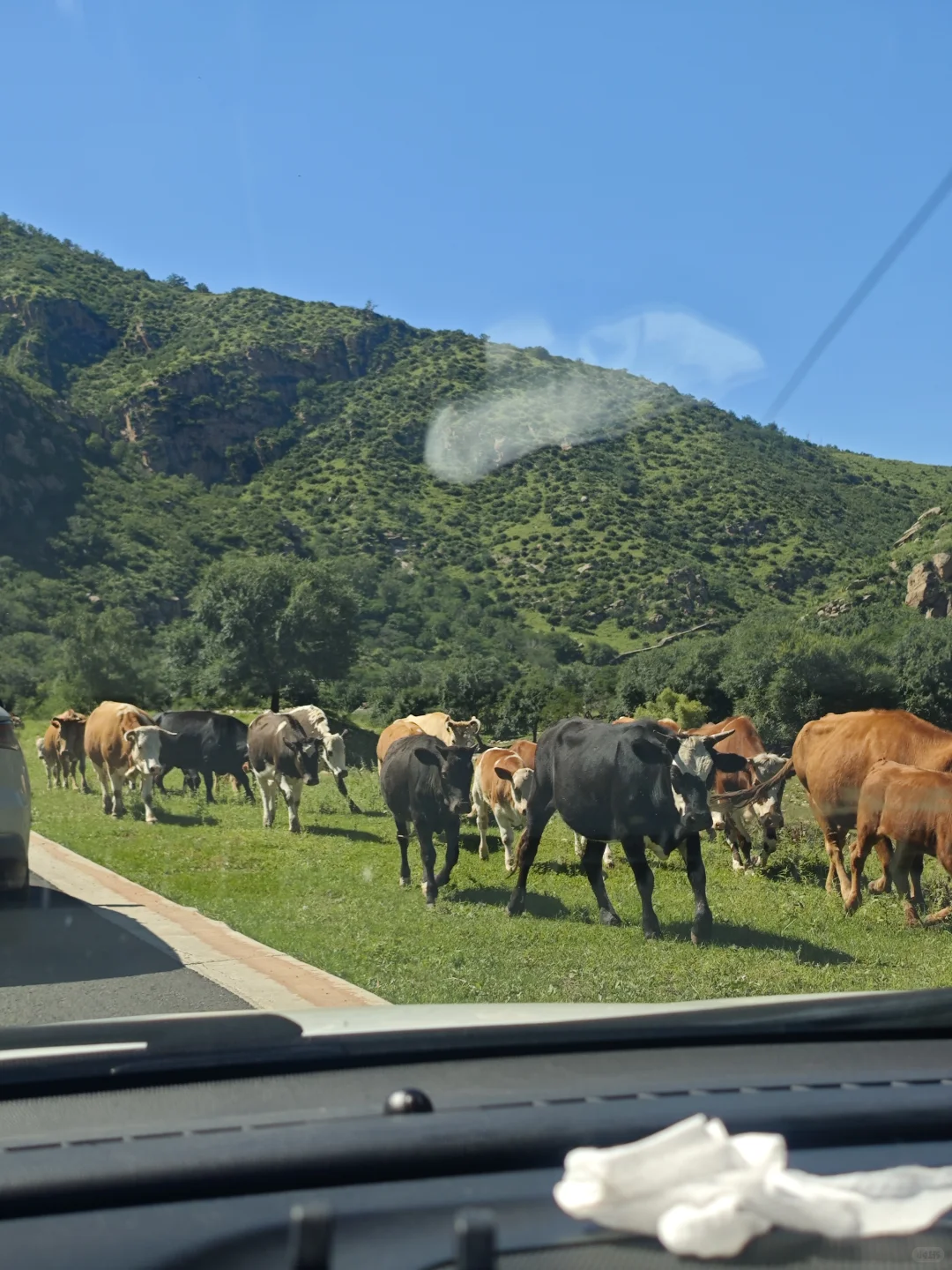 🚗✨自驾天花板！内蒙古红石崖绝美秘境