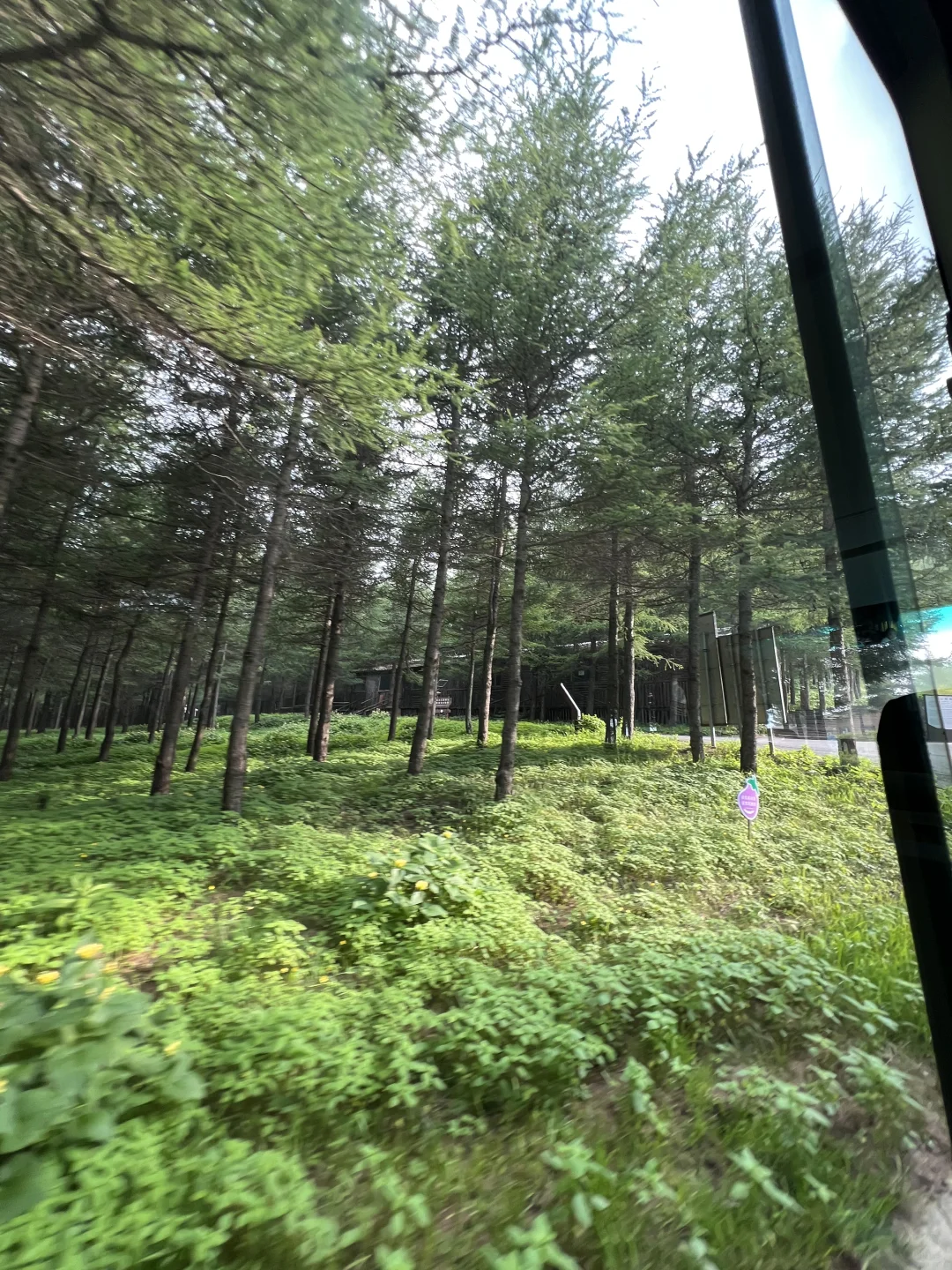 山西20℃神仙避暑地!红崖峡谷📸拍照游玩攻略