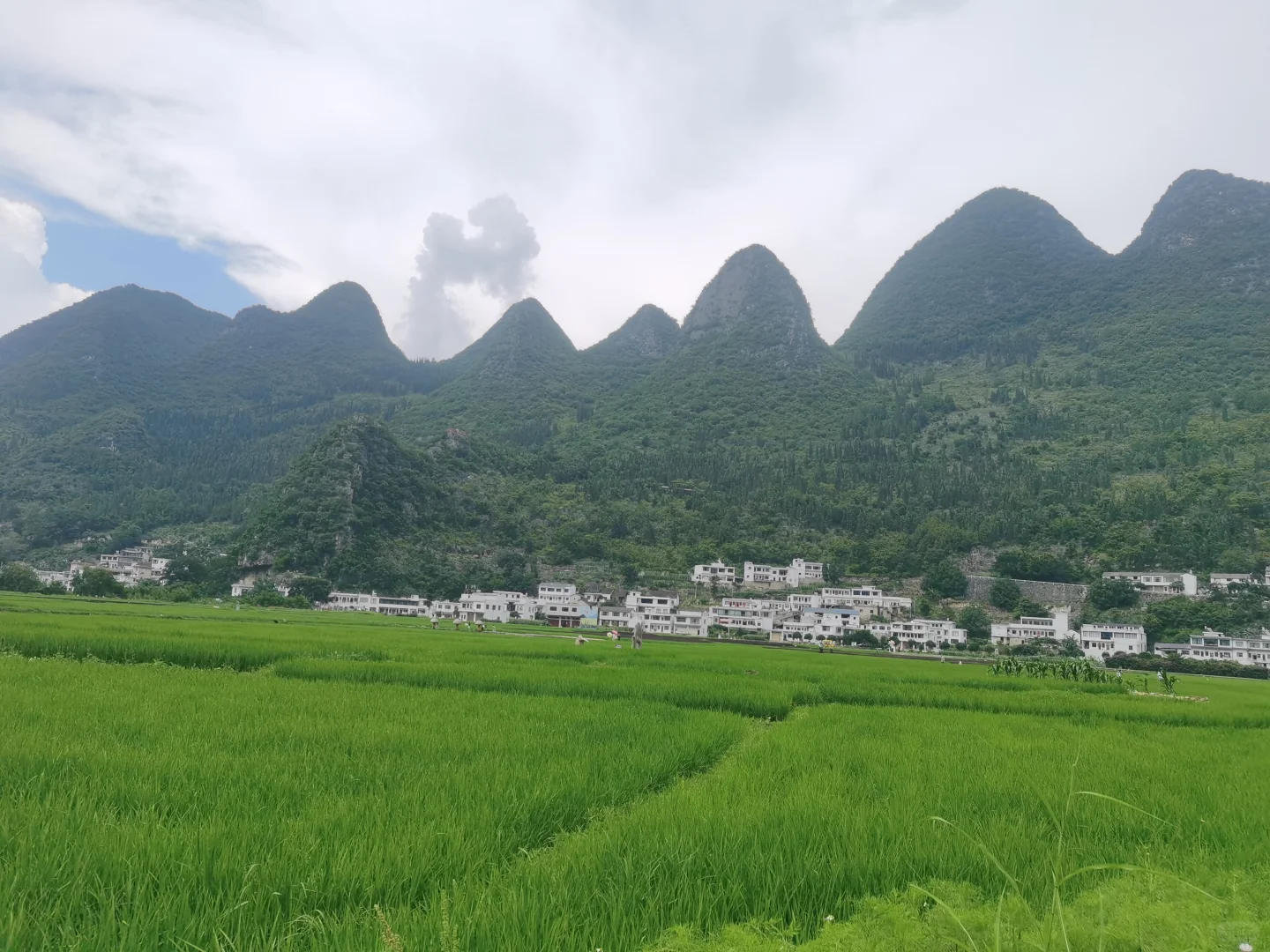 山水田园风光美不胜收———万峰林景区