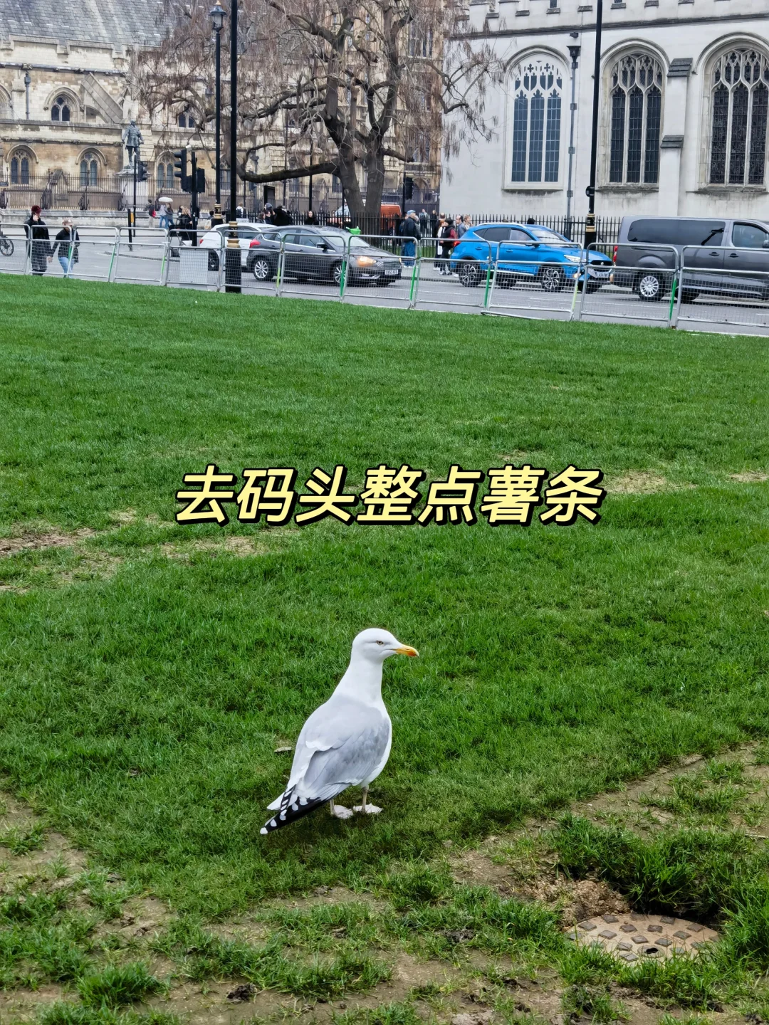 伦敦旅游归来，说说我的感受