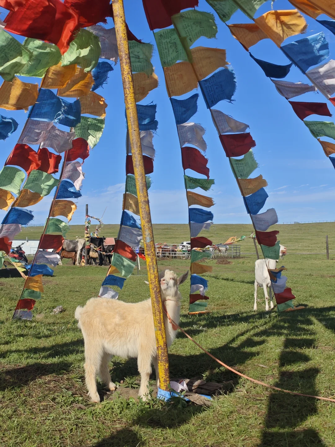 🚗✨自驾天花板！内蒙古红石崖绝美秘境
