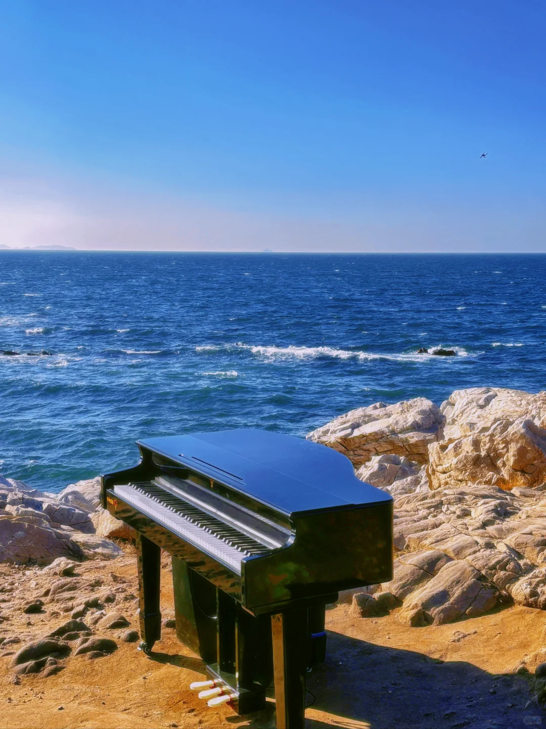 💕烟台‼️最适合ENFJ的地方出现啦