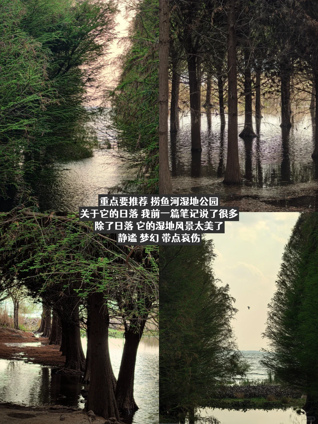 一个人旅行 | 在昆明的三天两夜