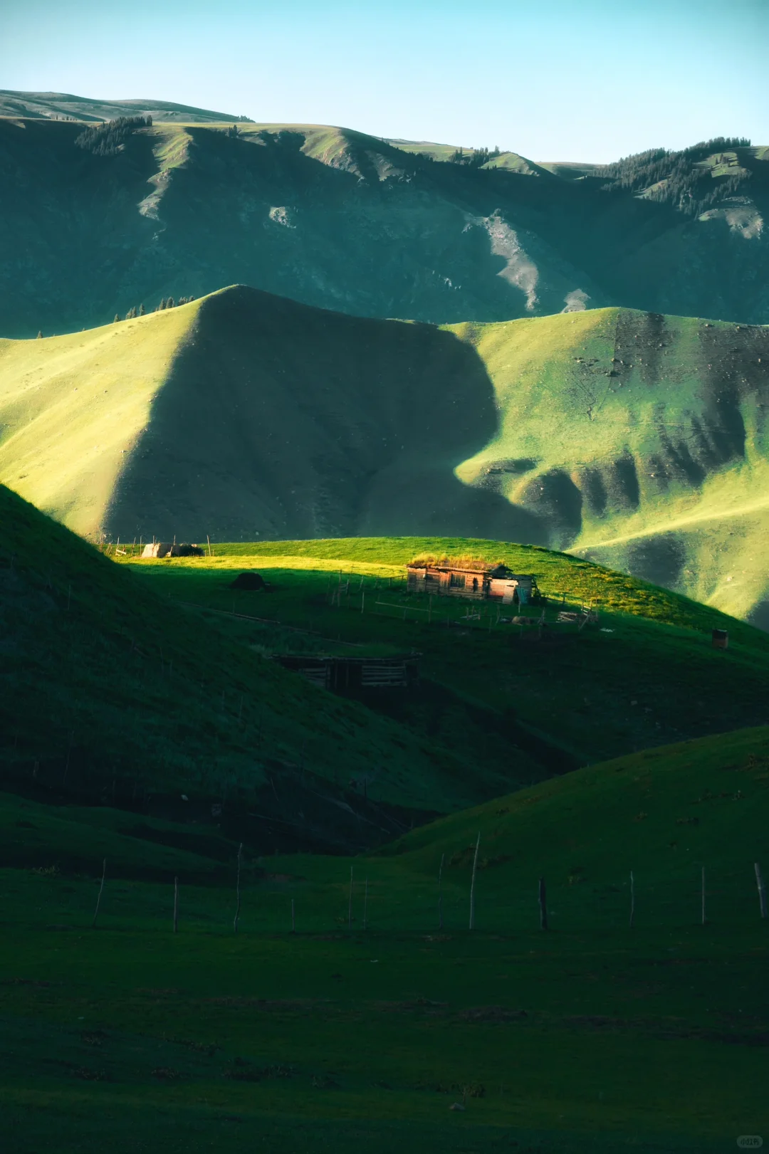 被朋友圈问疯了🤣🤣，都以为我出国了❗️❗️