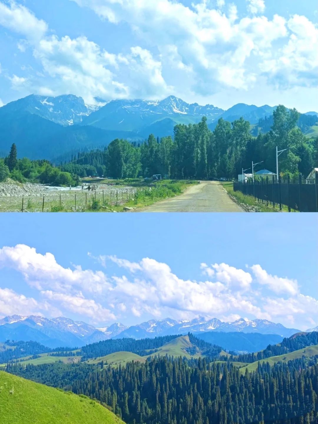 新疆亲子游6人小团太香了！玩嗨了‼️