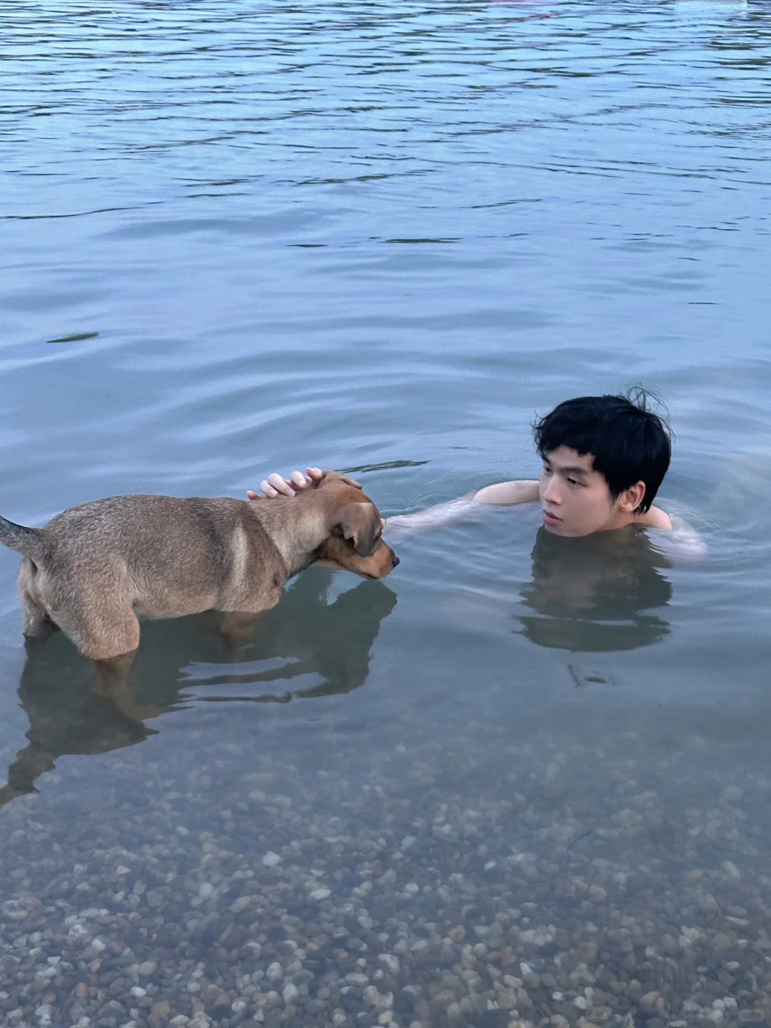 欧洲第一免签国🇷🇸花2800玩了七天