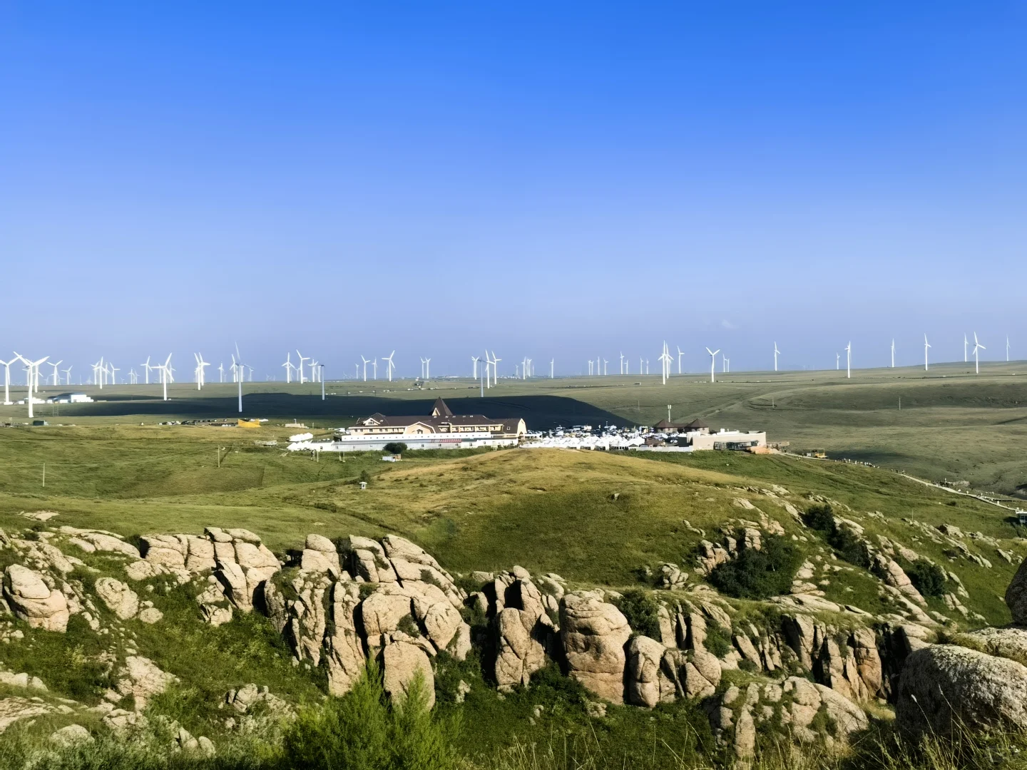 辉腾锡勒草原,牛马的天堂