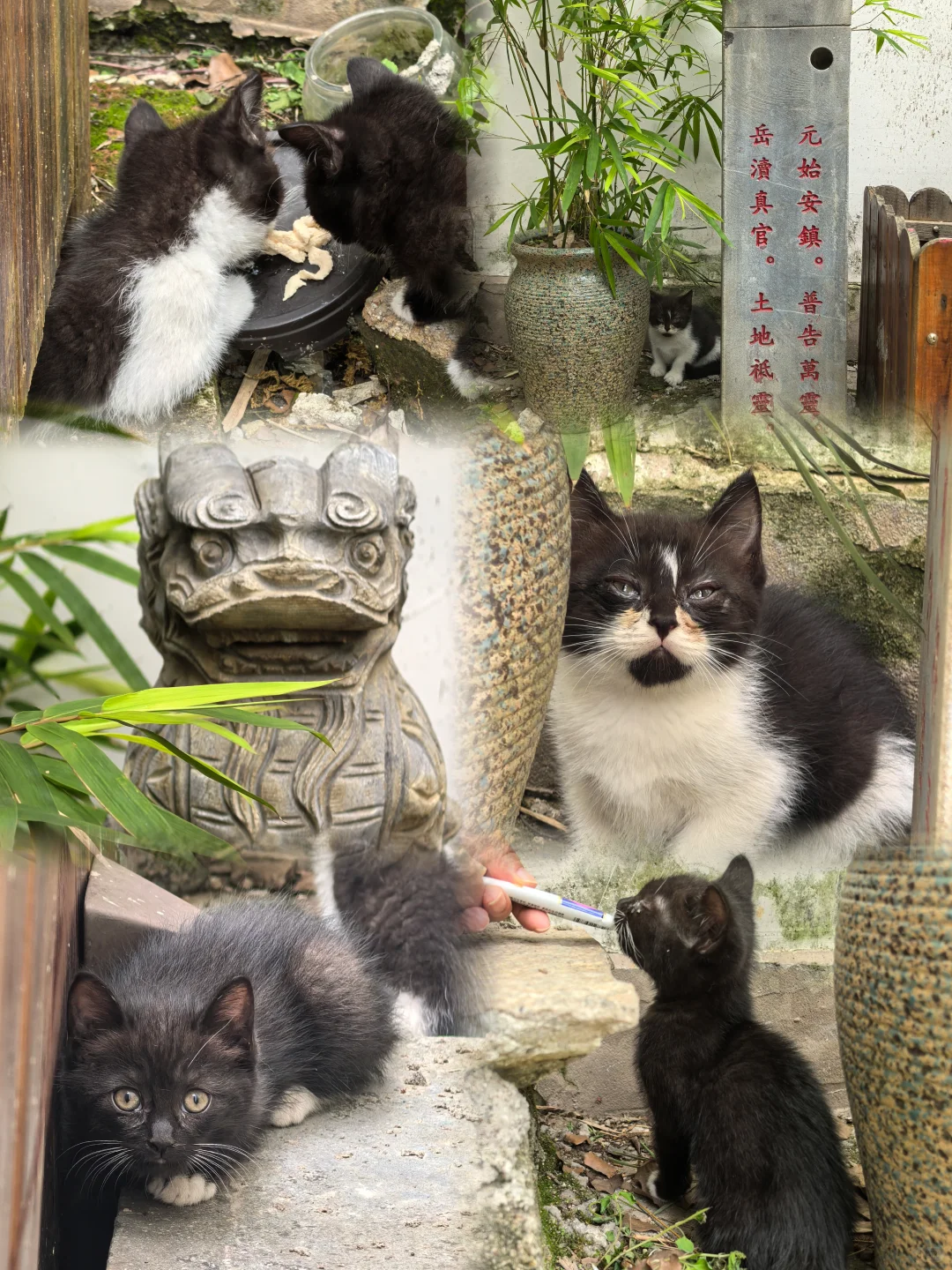 吉安 | 吉州窑景区