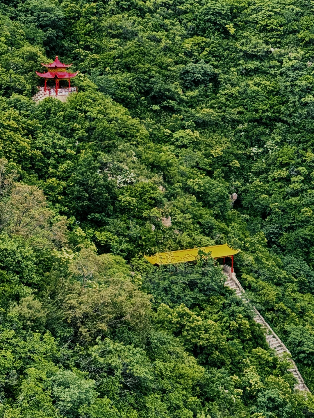 北京2h直达的绿野仙踪