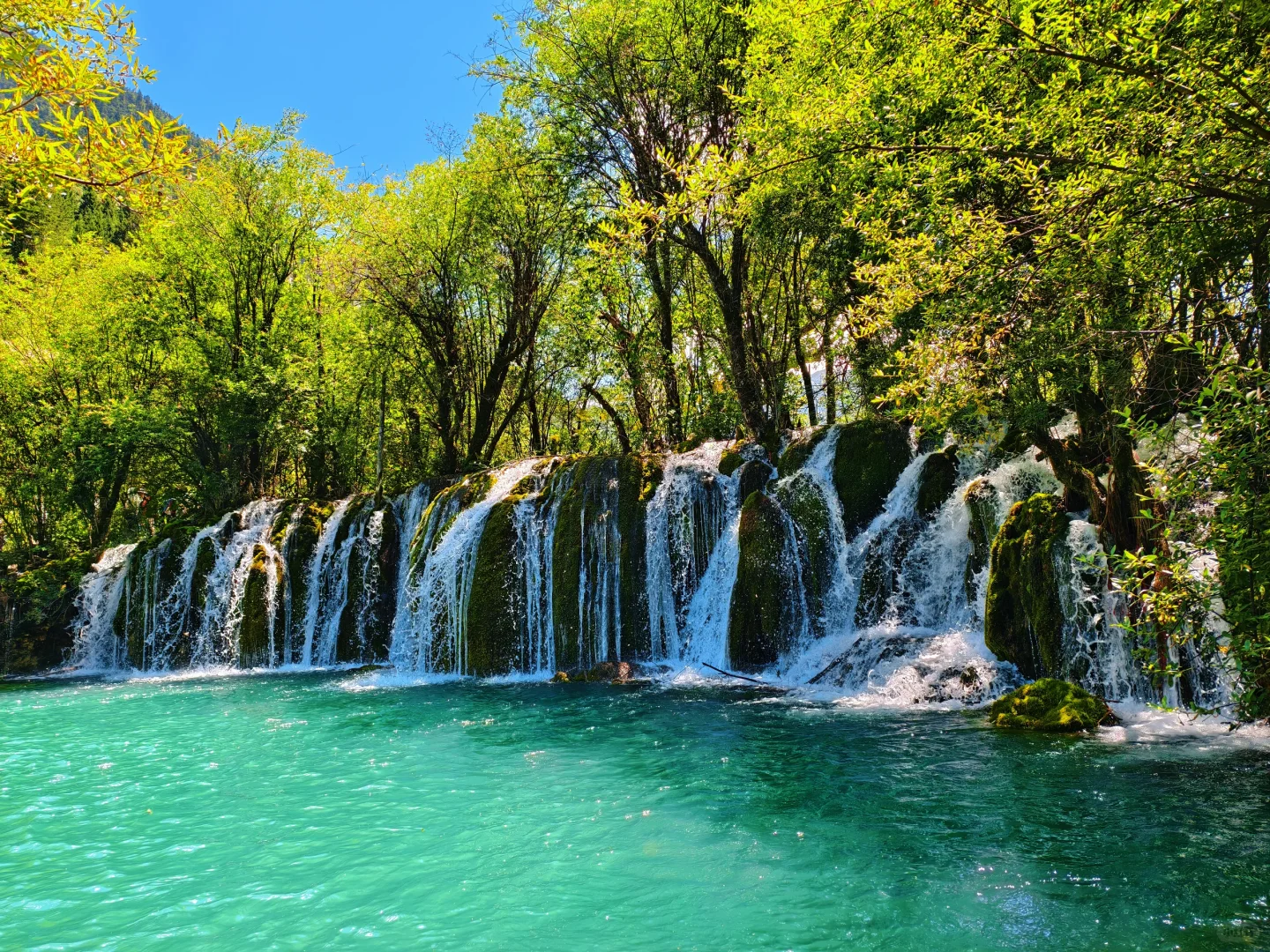 8.14九寨沟实况，人多但是景区调度很强大