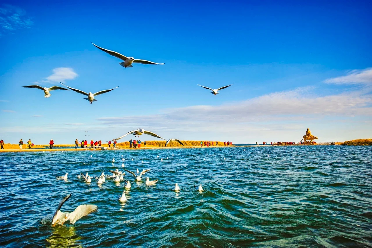 Trendy Fun潮趣阿拉善｜这里的景区免门票？