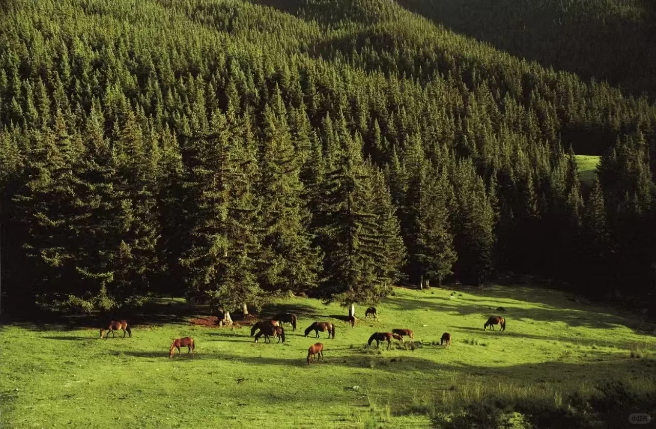 Trendy Fun潮趣阿拉善｜这里的景区免门票？
