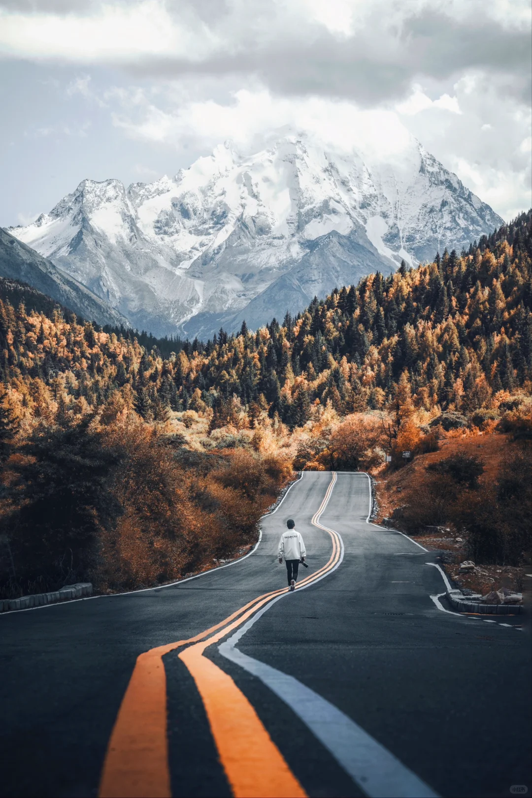 被朋友圈问疯了🤣🤣，都以为我出国了❗️❗️