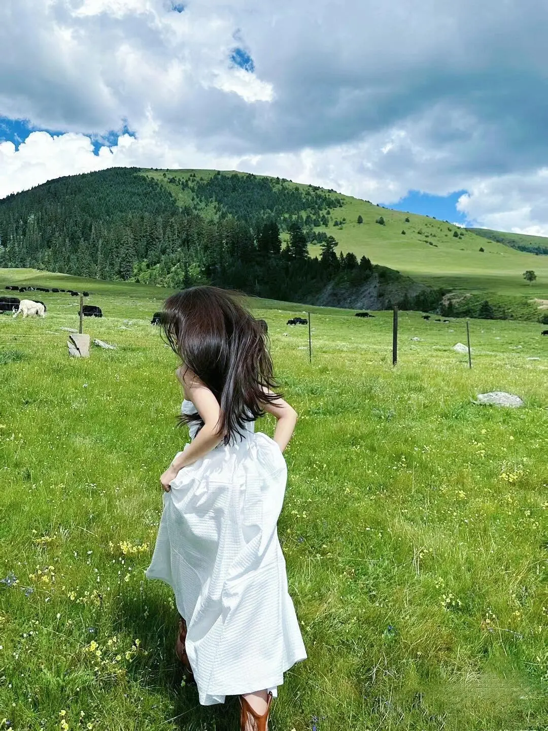 夏天22°C的川西，真的比瑞士还震撼！