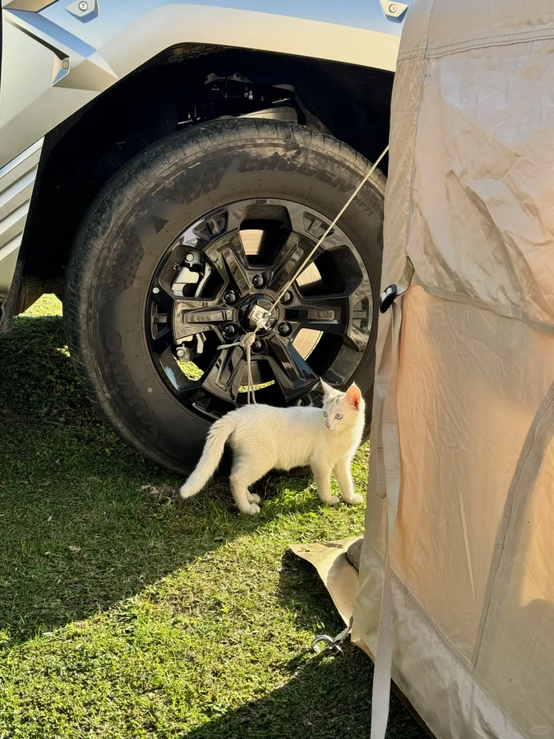 连续一个月周末上山的新疆人去哪里露营1