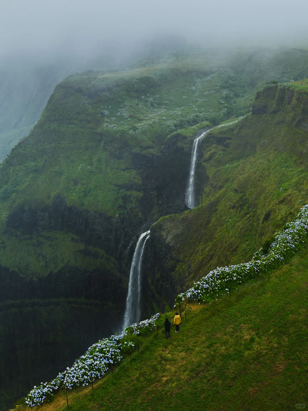 和小螃蟹在亚速尔群岛