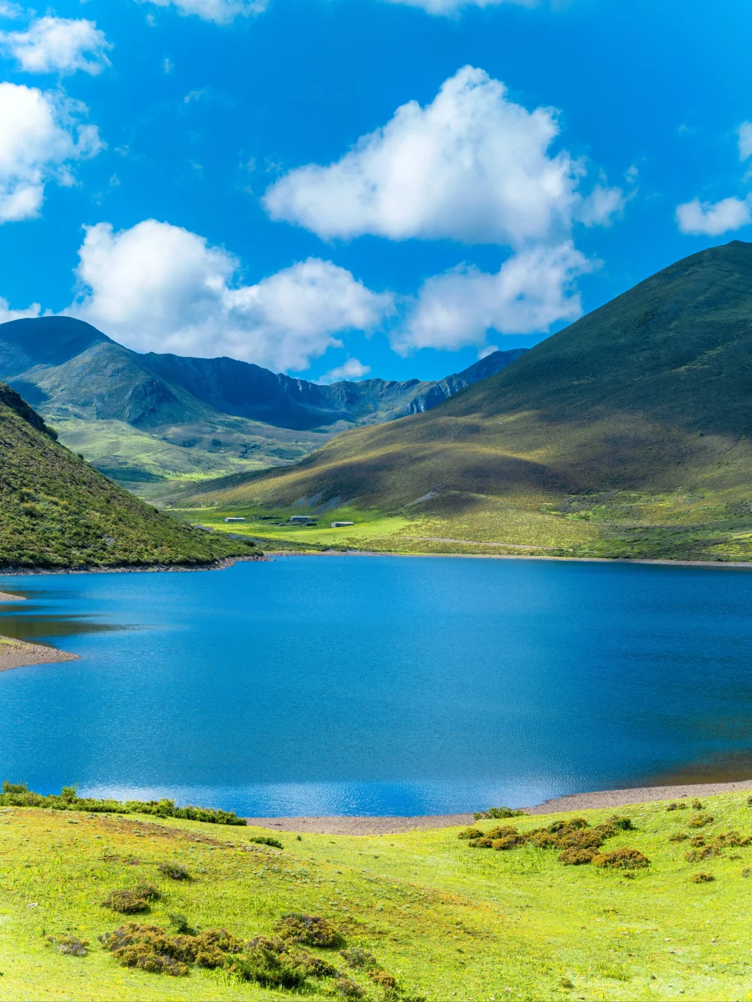 七色海真的是yyds，不去后悔！