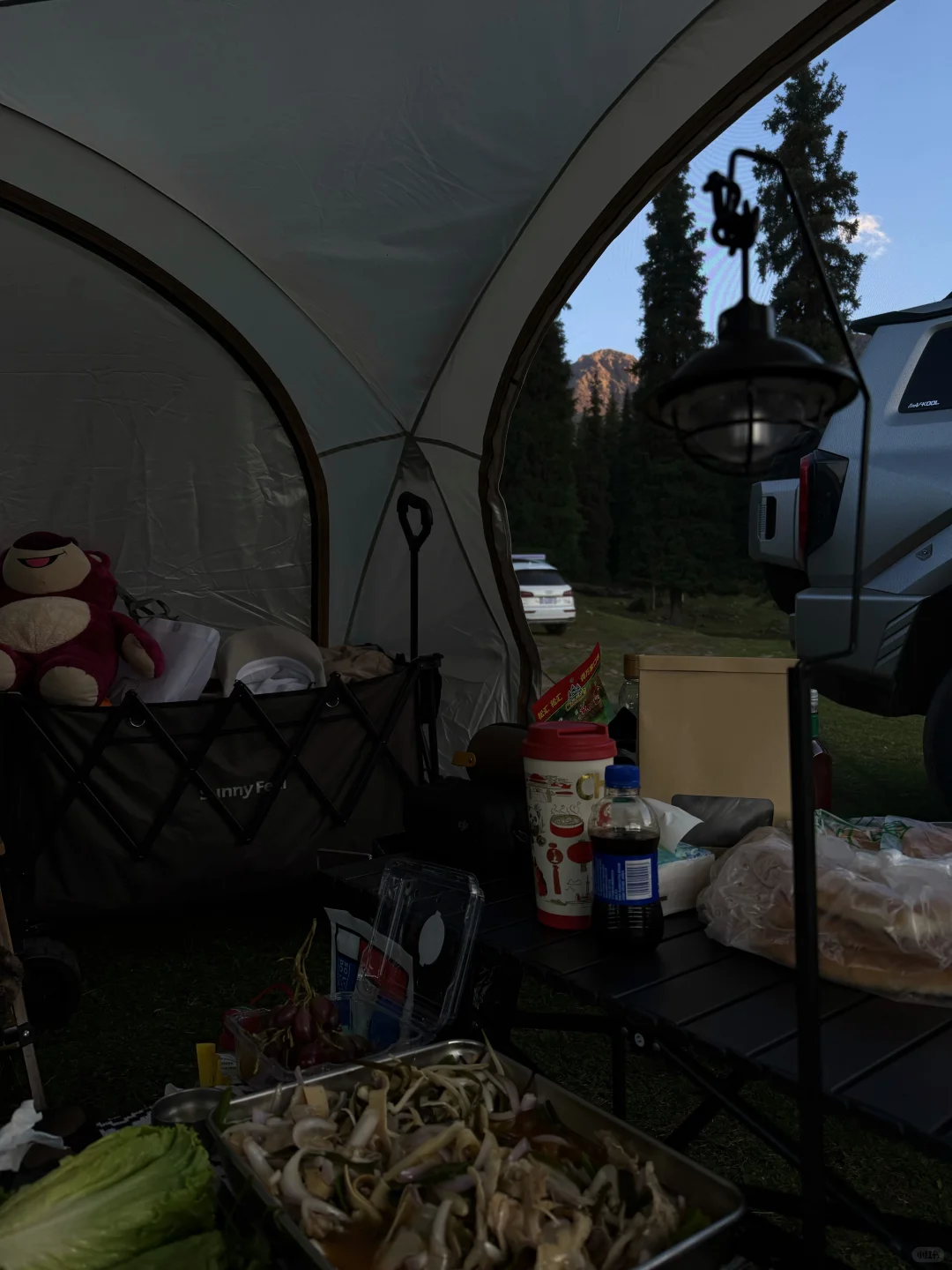 连续一个月周末上山的新疆人去哪里露营1