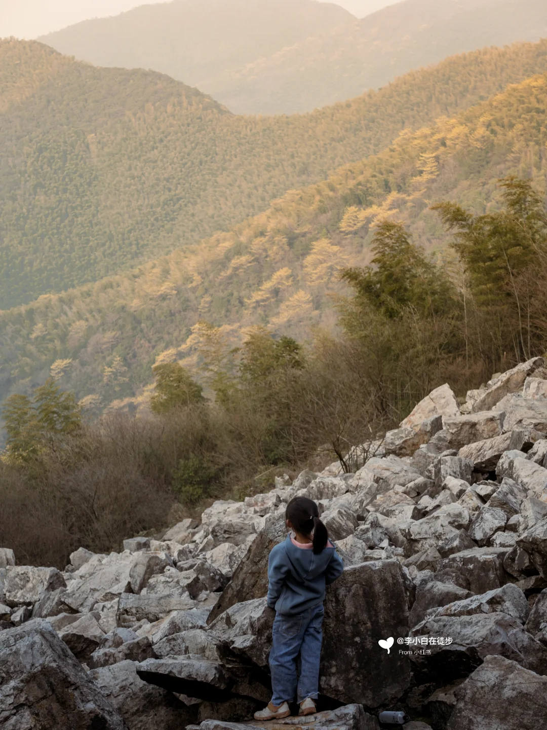 宜兴真的不用避坑！推荐7个小众免费景点