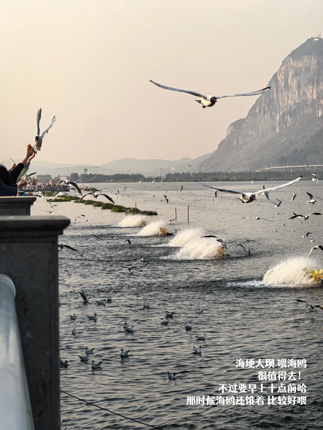 一个人旅行 | 在昆明的三天两夜