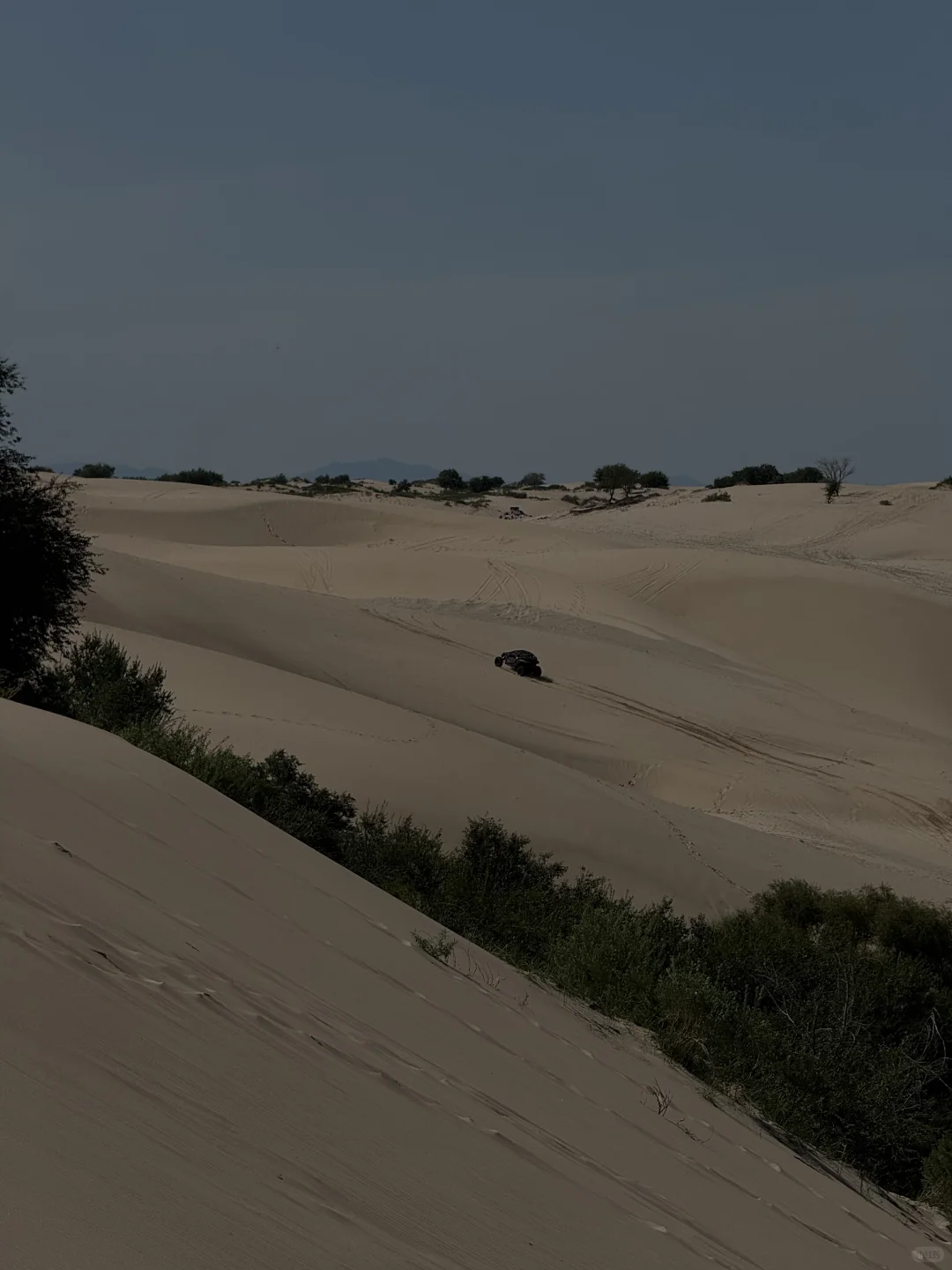 赤峰本地人都不知道的小众沙漠|响水荷花池