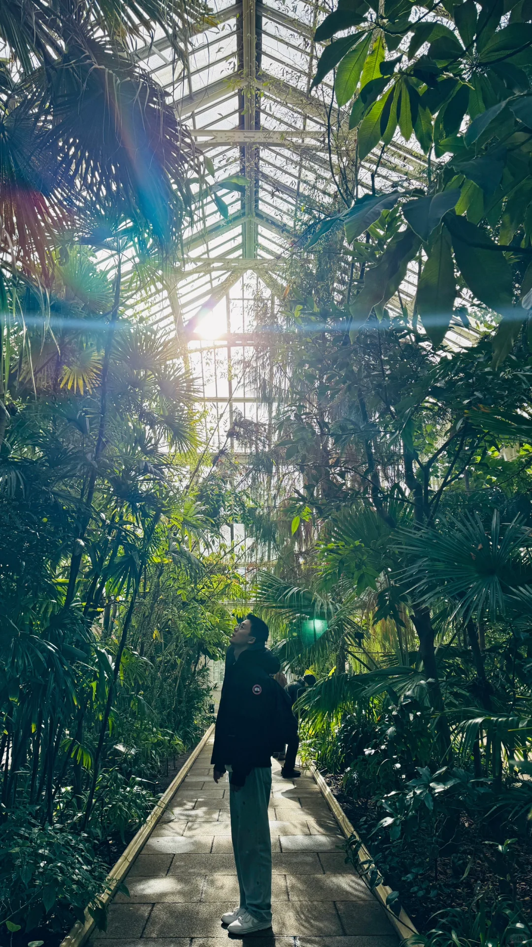 英国🇬🇧十日游攻略