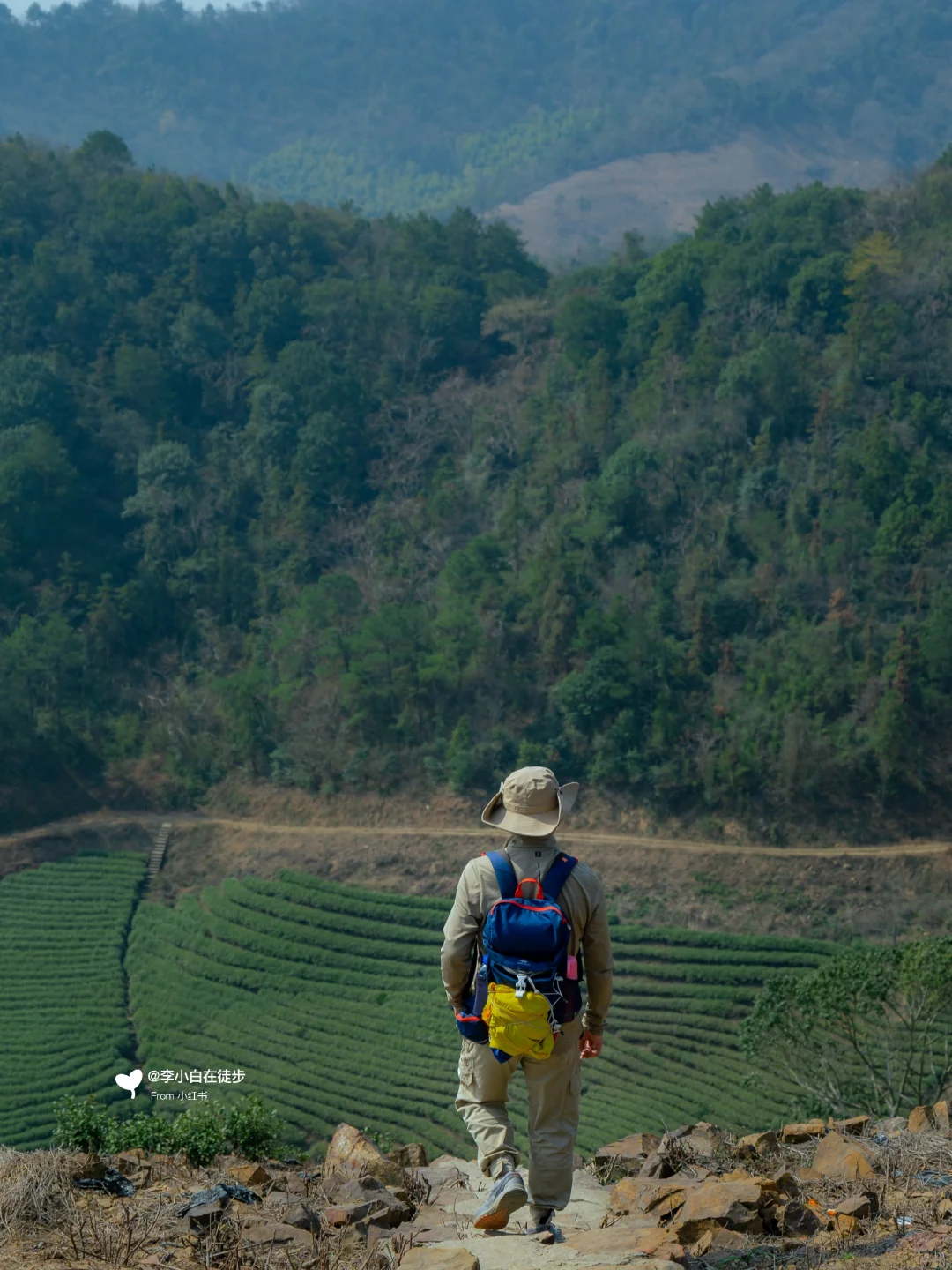 宜兴真的不用避坑！推荐7个小众免费景点